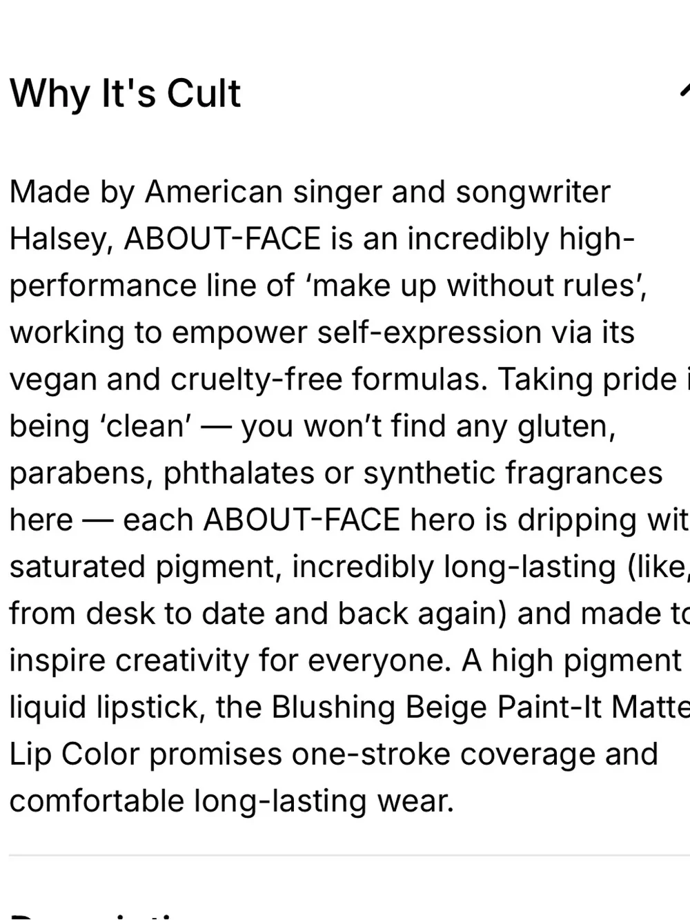 🌻 About Face Paint-It Matte Liquid Lipstick in Not Your Baby New FullSz